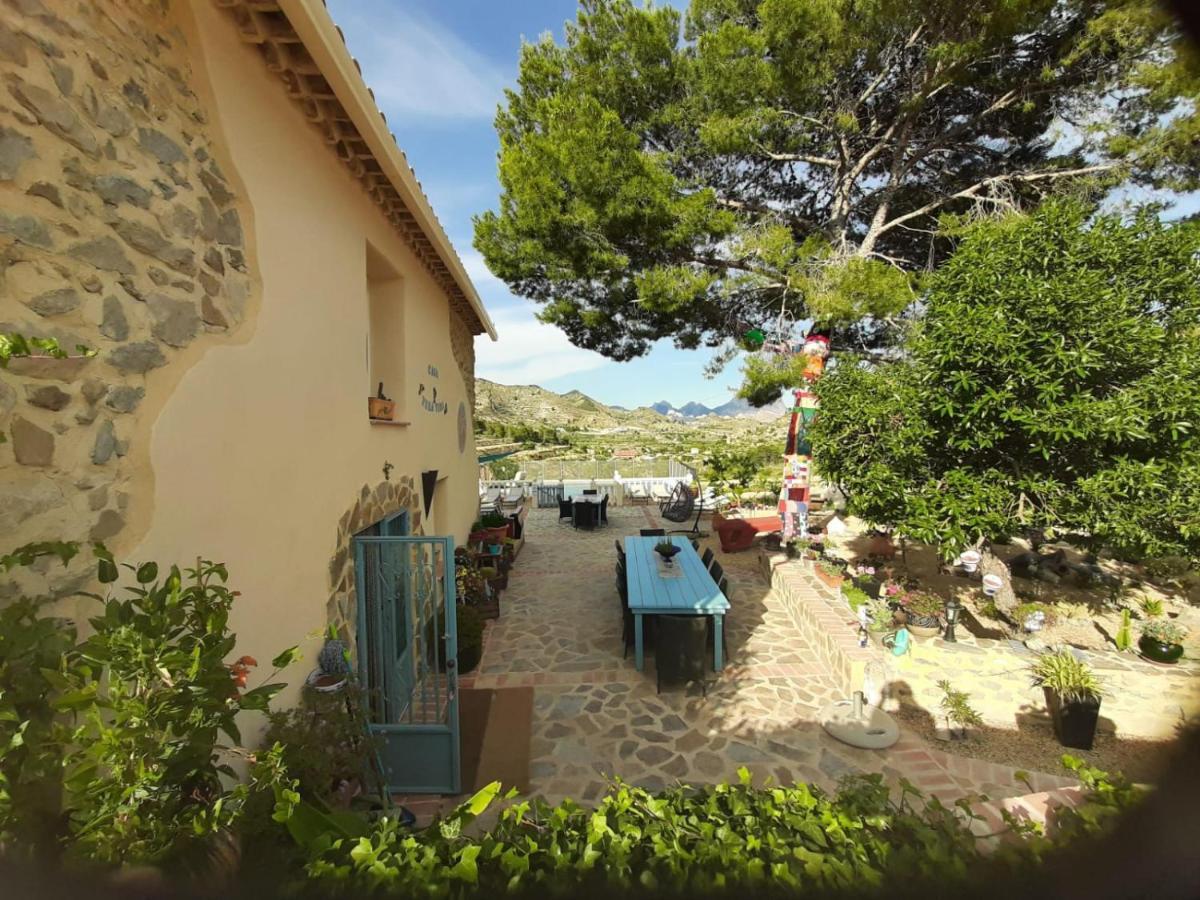 Casa Pura Vida Bed & Breakfast Relleu Екстериор снимка